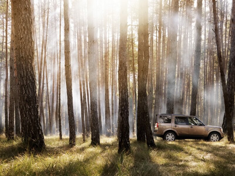 SUV in a misty forest