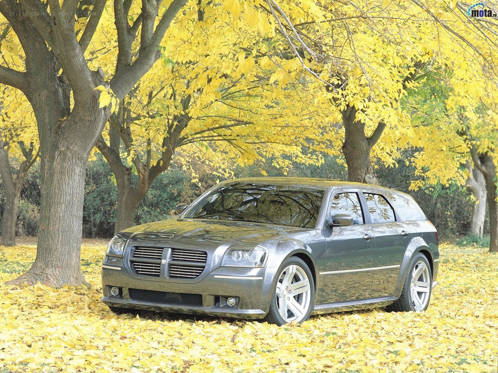 SUV in autumn leaves