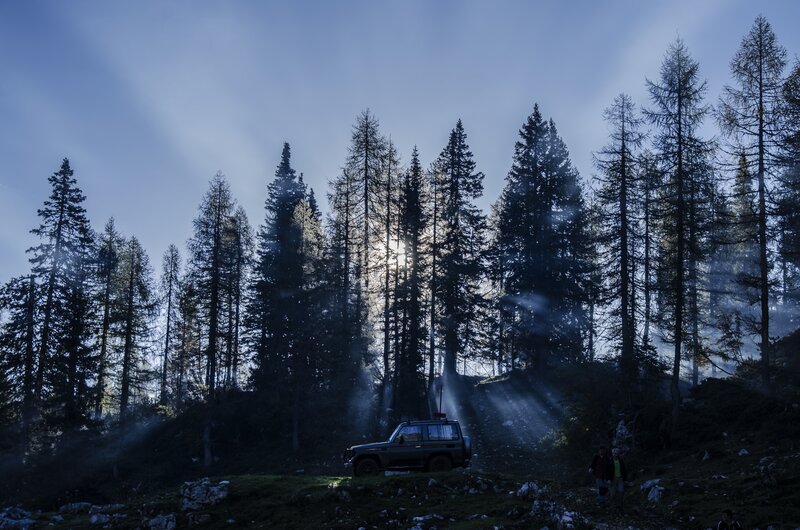 Suv in Forest