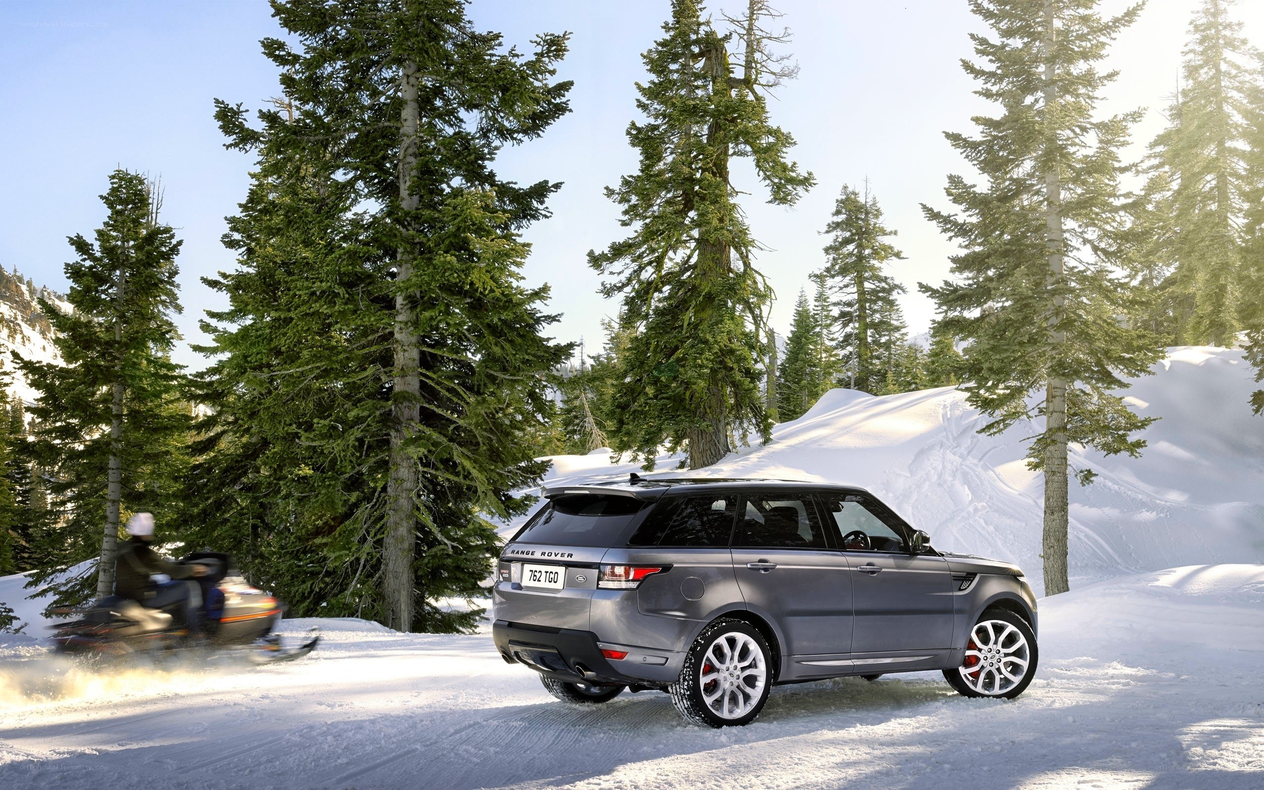 SUV in snowy forest