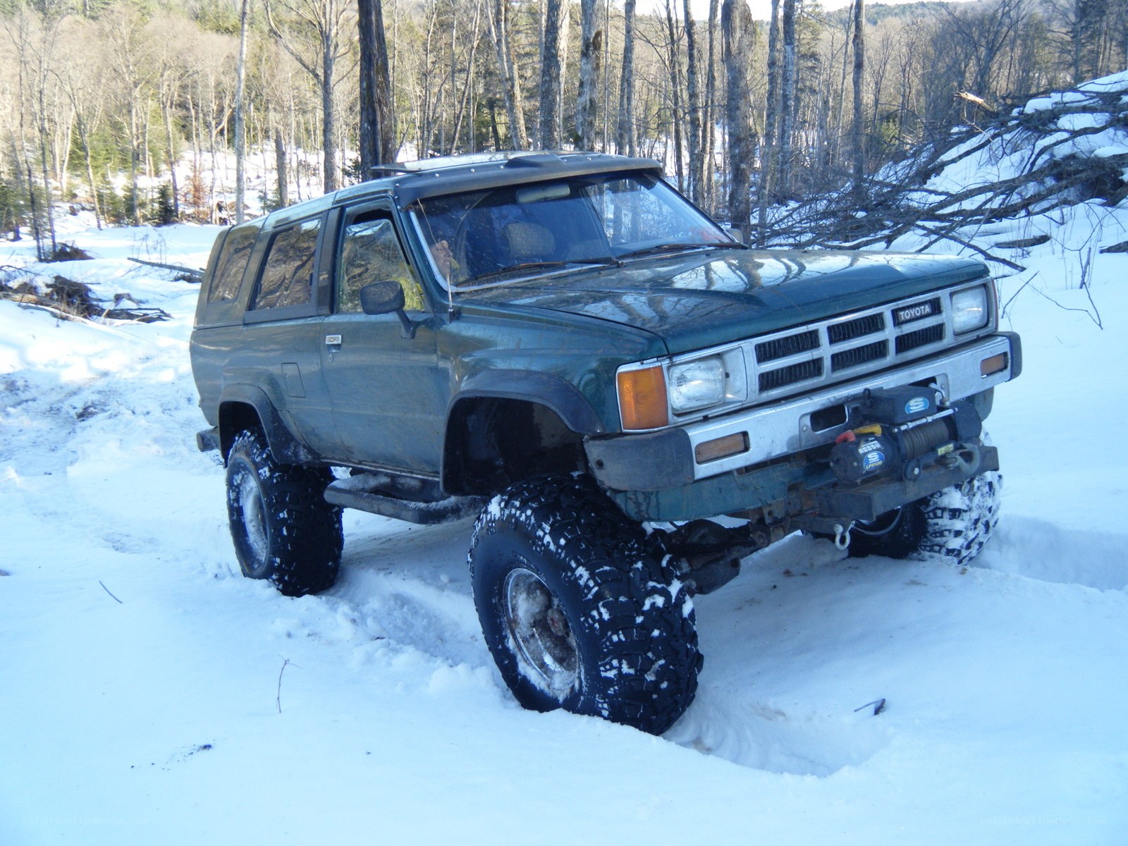 SUV in snowy forest