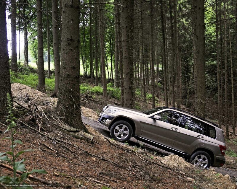SUV navigating forest terrain