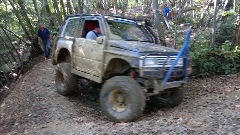 SUV navigating forest trail