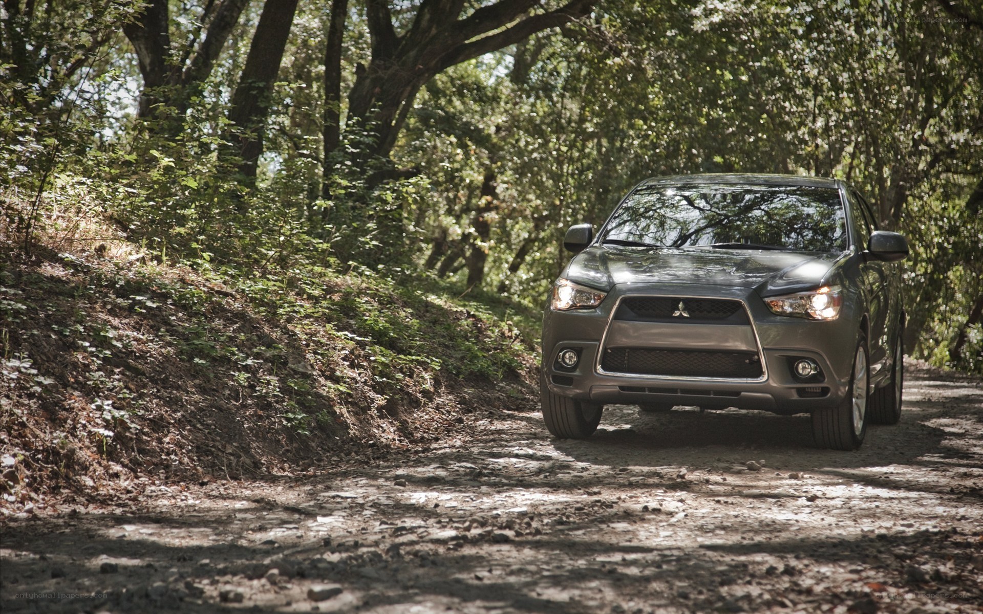 SUV on a forest path