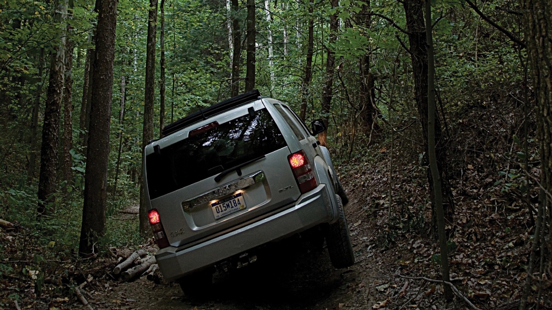 SUV on forest trail