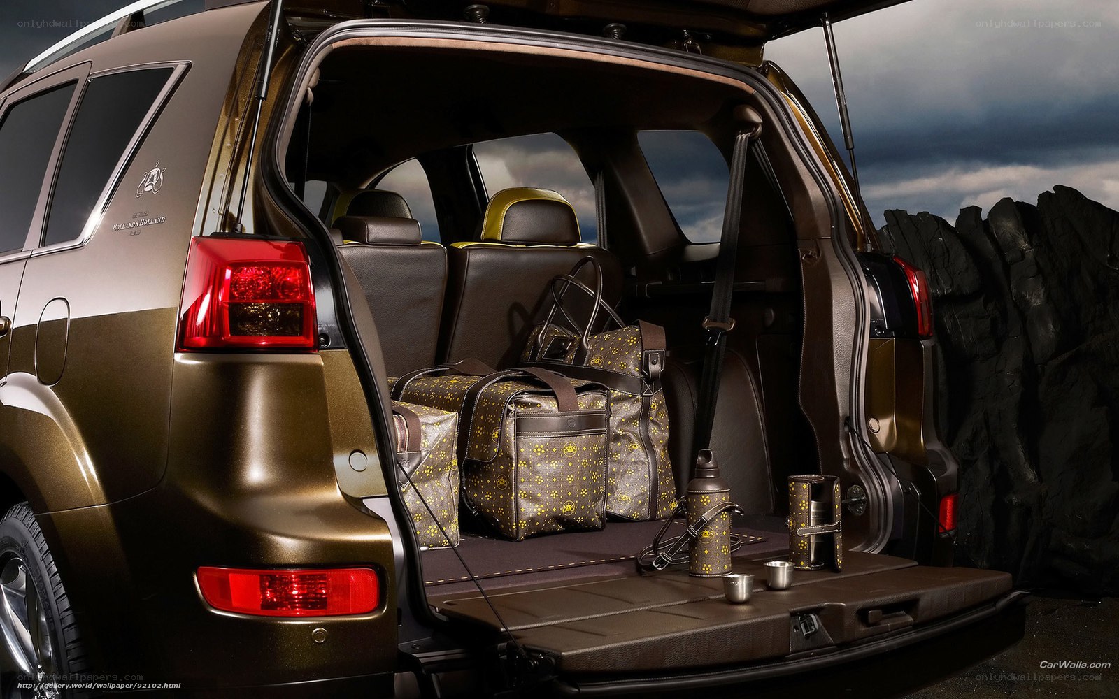 SUV trunk with luxury luggage