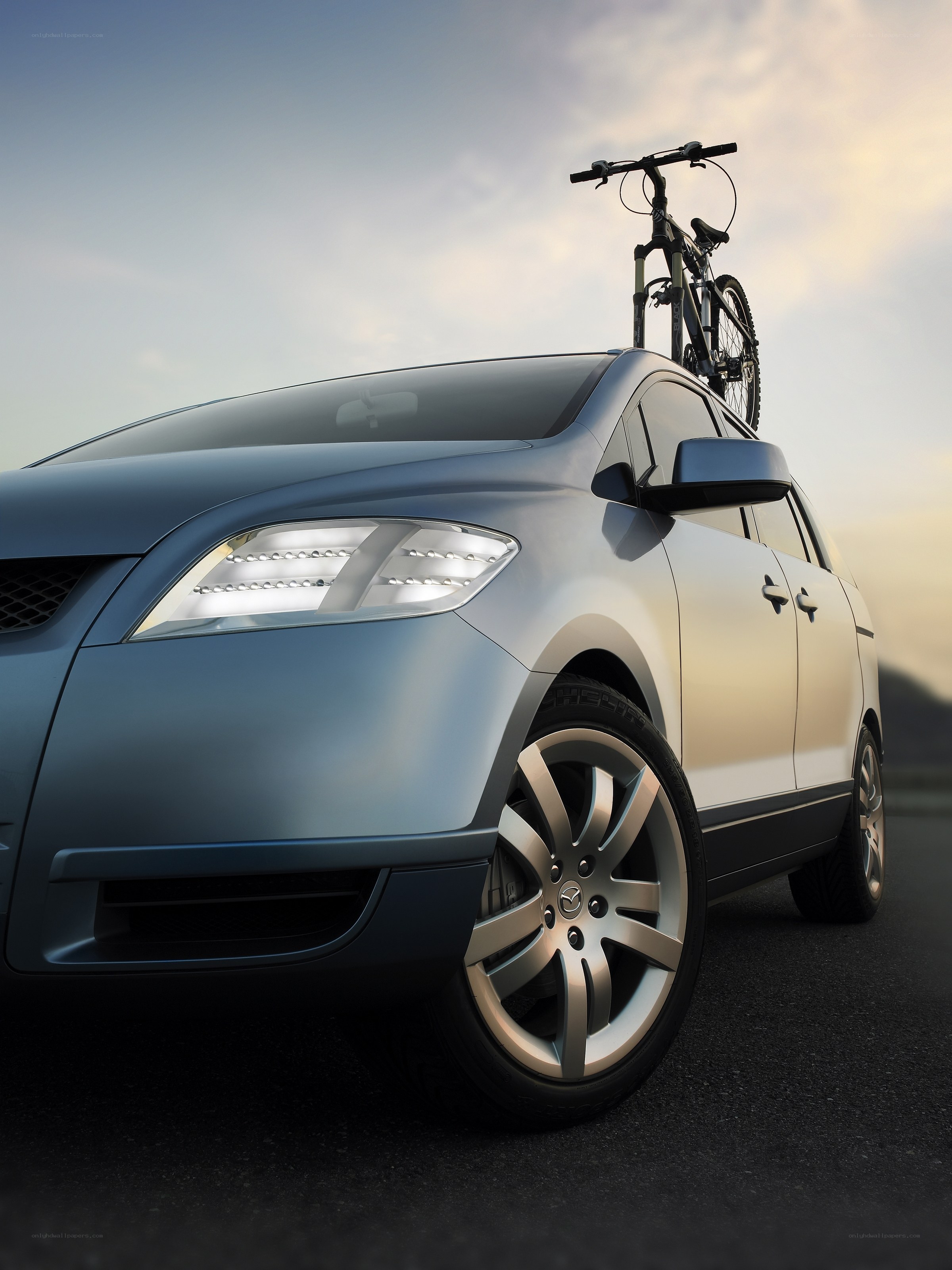 SUV with bicycle on roof