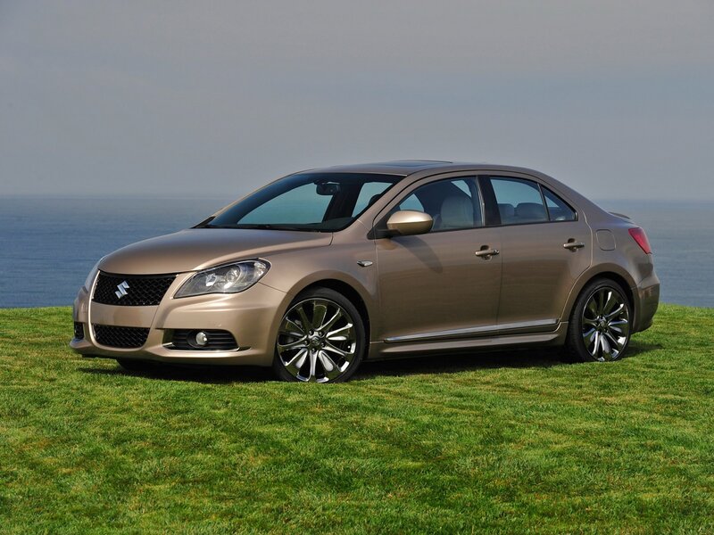 Suzuki Kizashi on a grassy cliff