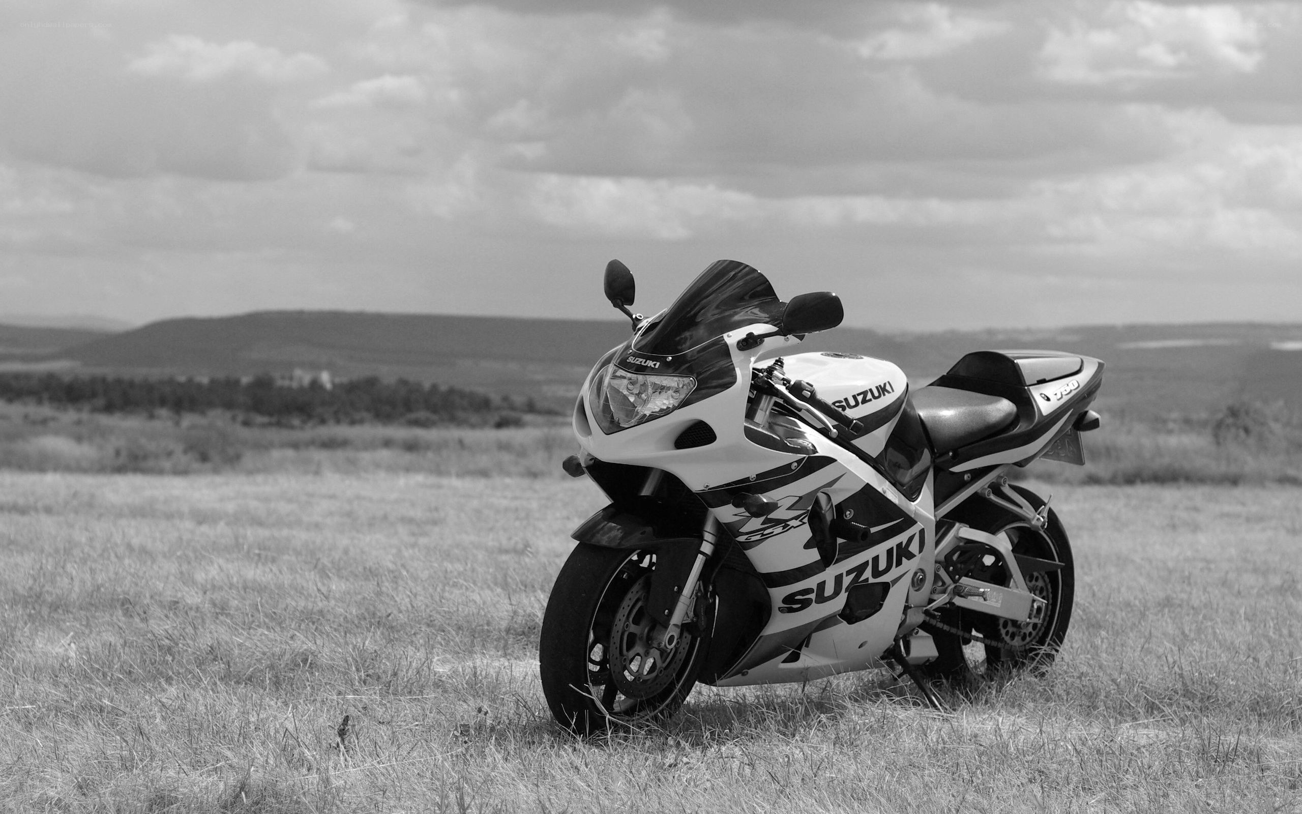 Suzuki motorcycle in a field
