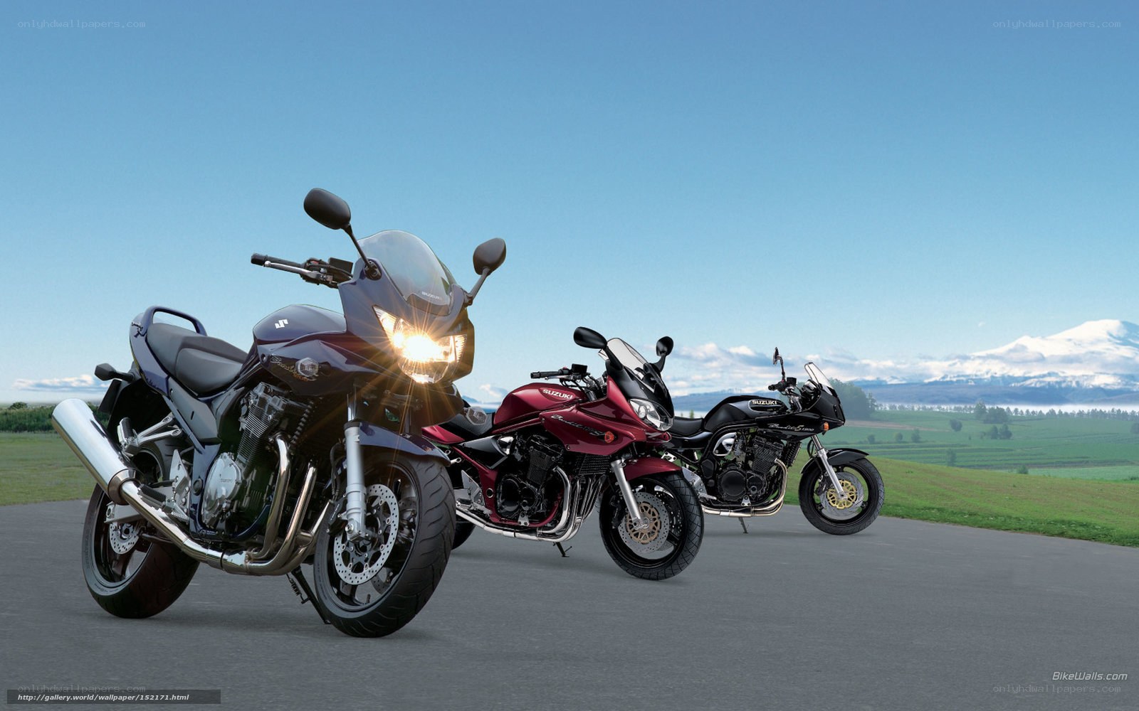 Suzuki motorcycles on a scenic road