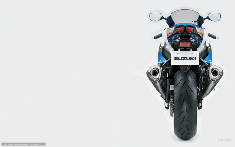 Suzuki sport motorcycle rear view