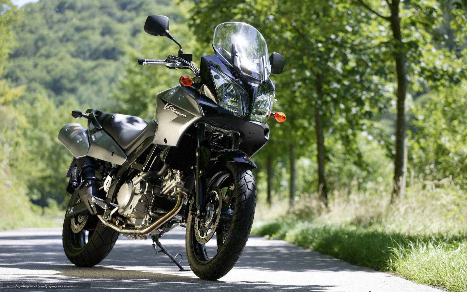 Suzuki V-Strom motorcycle on road