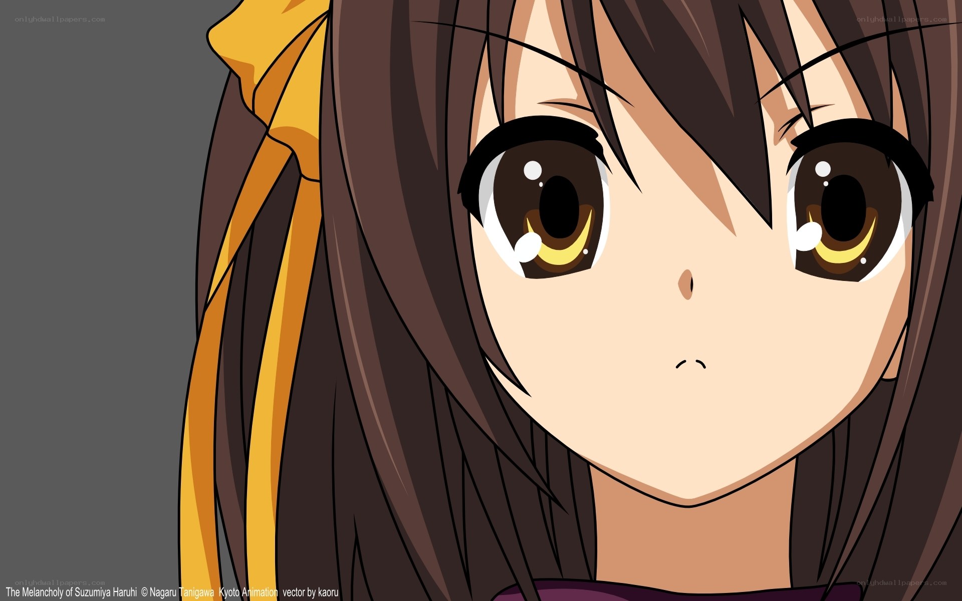 Suzumiya Haruhi close-up