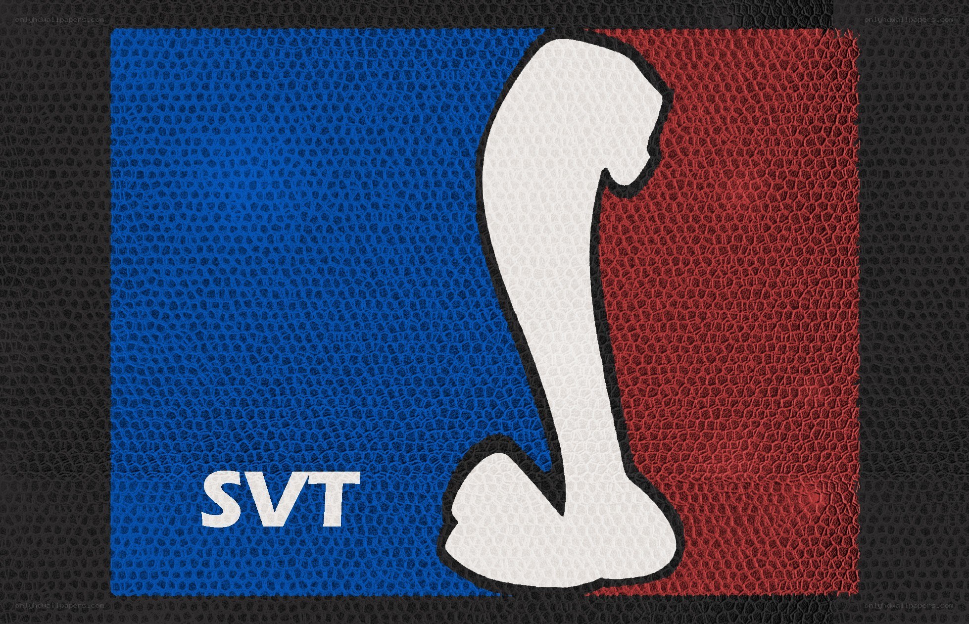 SVT logo on basketball texture