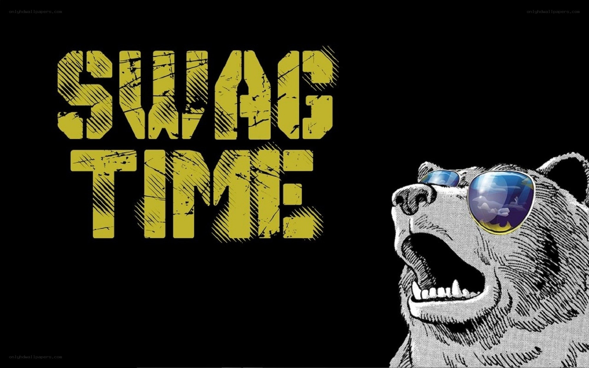 swag time bear