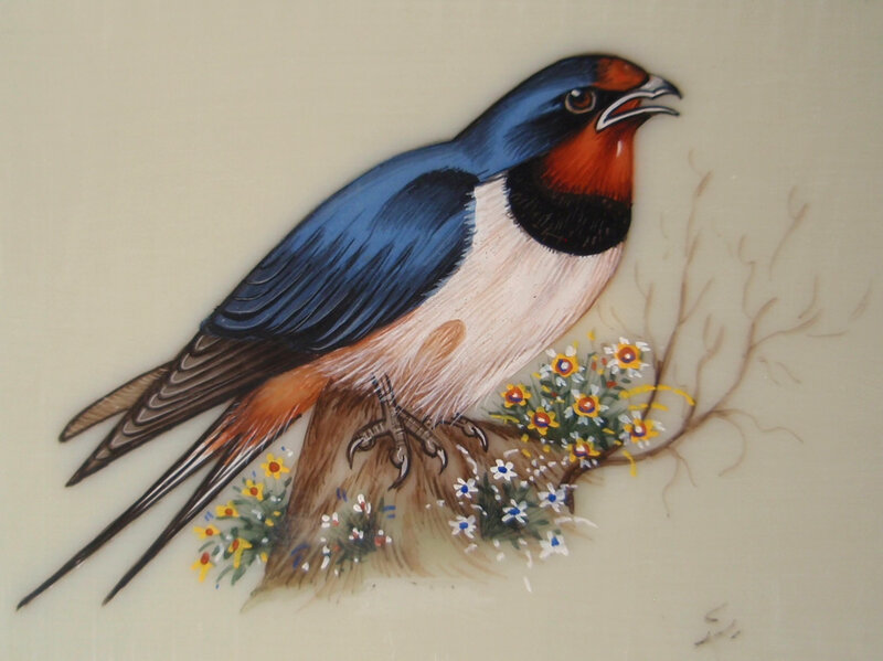 Swallow Bird on Branch