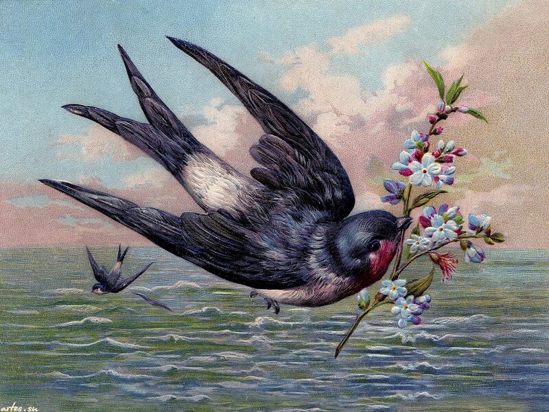 Swallow Carrying Flowers