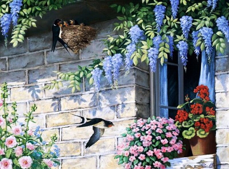 Swallows at Nest