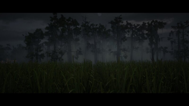 Swamp at Night — Green