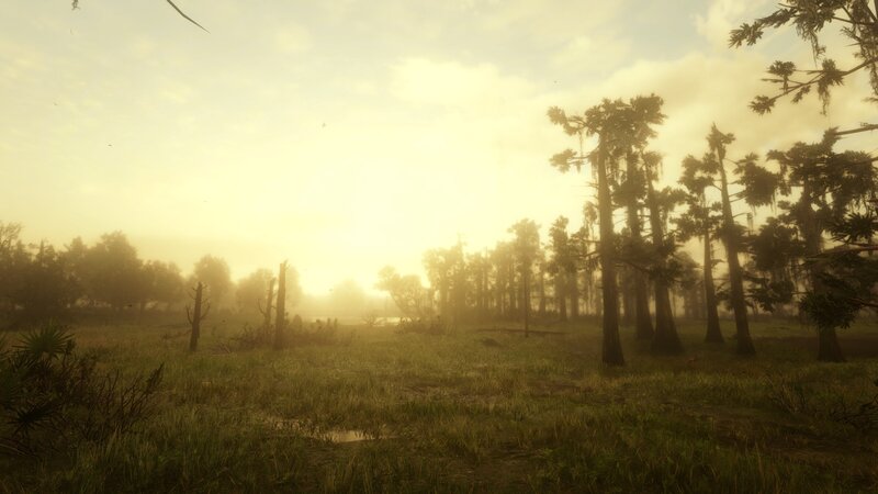 Swamp at Sunrise