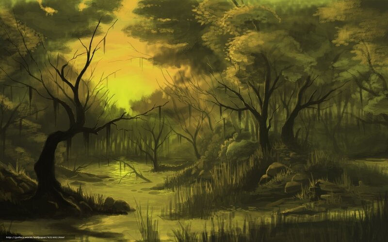 Swamp at Sunset