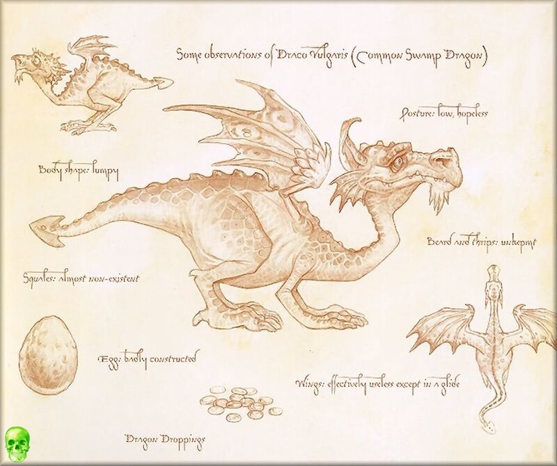 Swamp Dragon Observations
