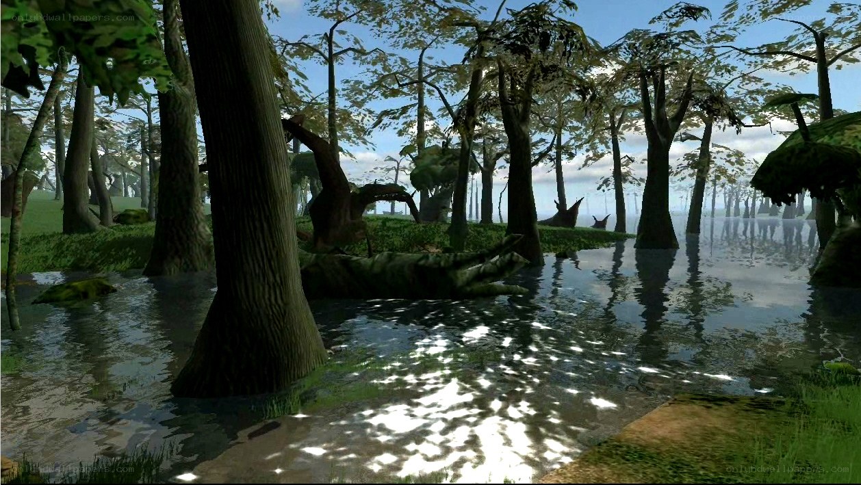 swamp forest scene