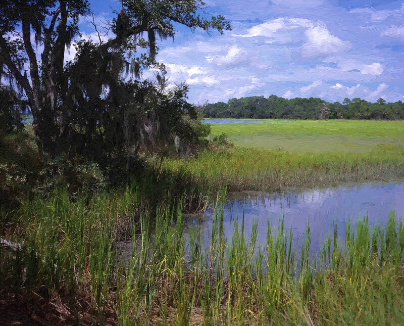 Swamp Landscape