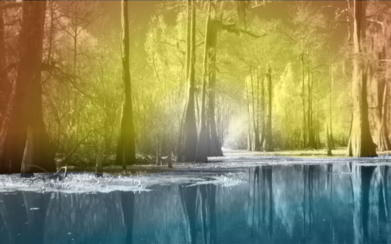 Swamp with Cypress Trees — Blue