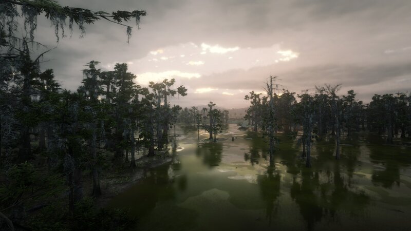 Swamp with Cypress Trees — Green, Serene, Sunset