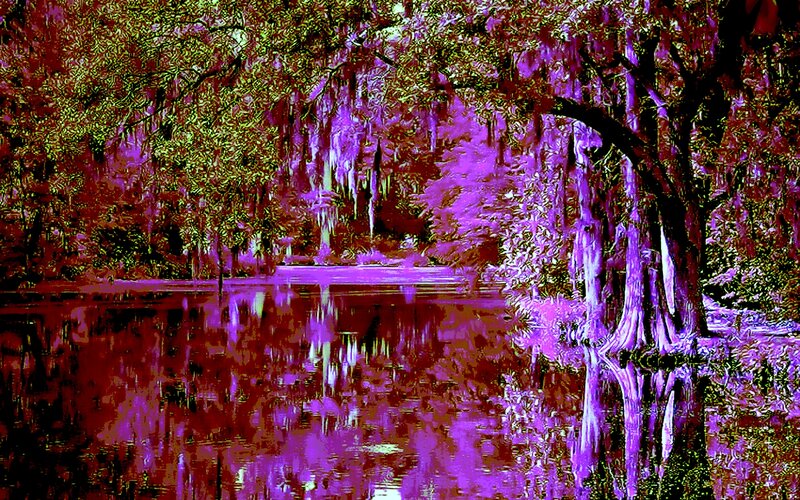 Swamp with Cypress Trees — Purple