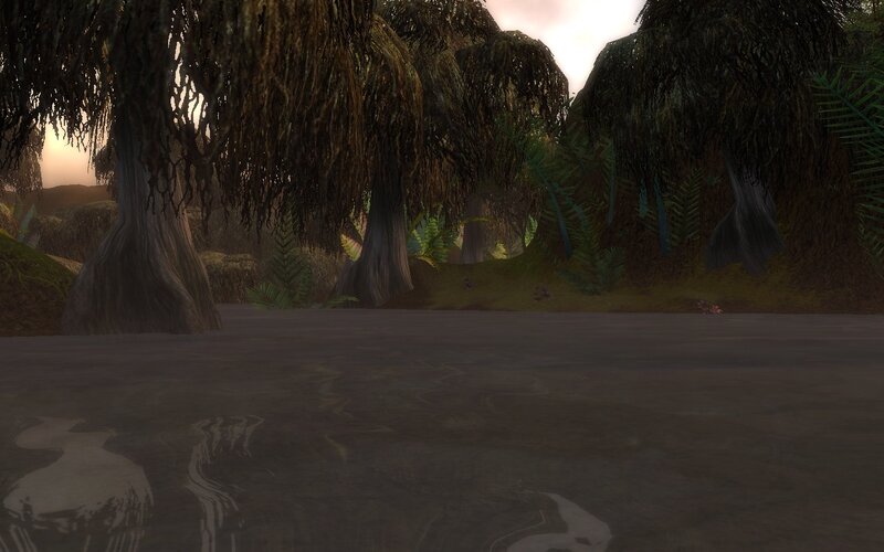 swampy forest scene
