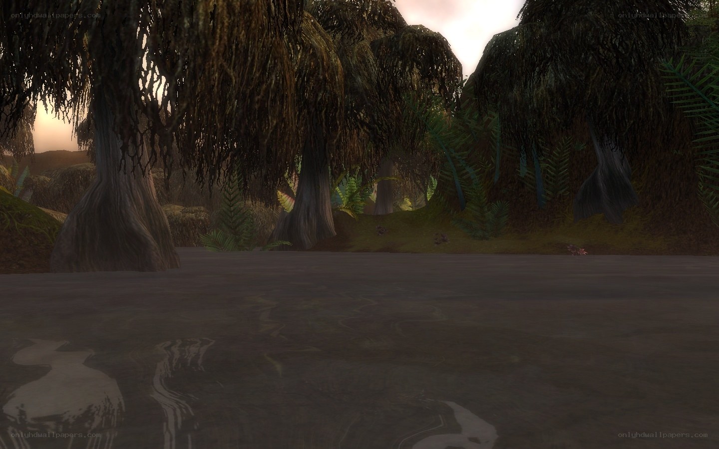 swampy forest scene