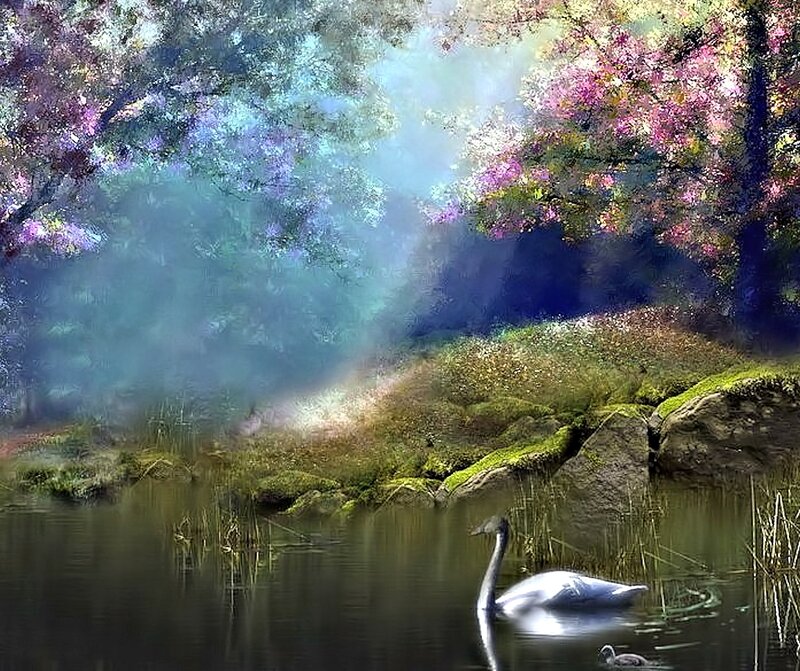 Swan and Cygnet in Pond — Green, Serene