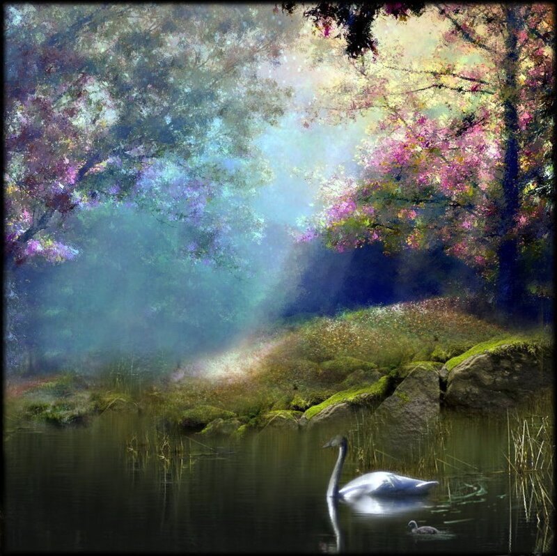 Swan and Cygnet in Pond — Green