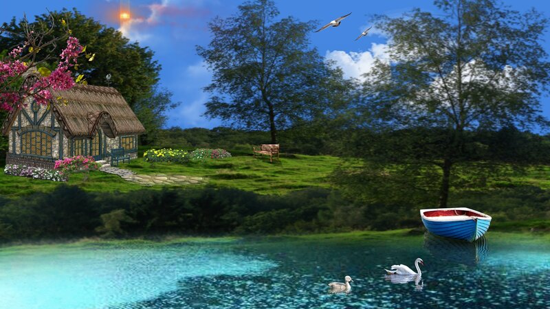 Swan and Duck on Lake