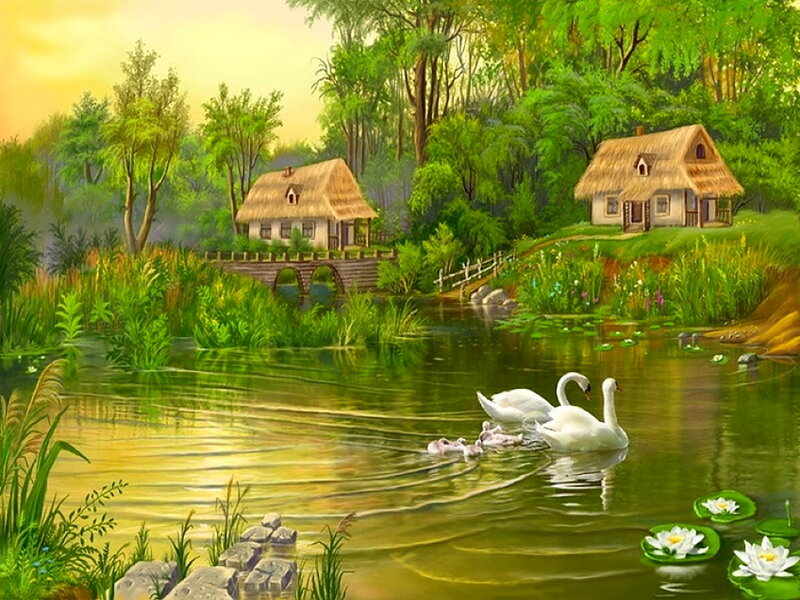 Swan Family on Pond — Green