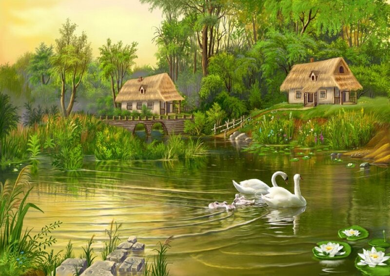 Swan Family on Pond