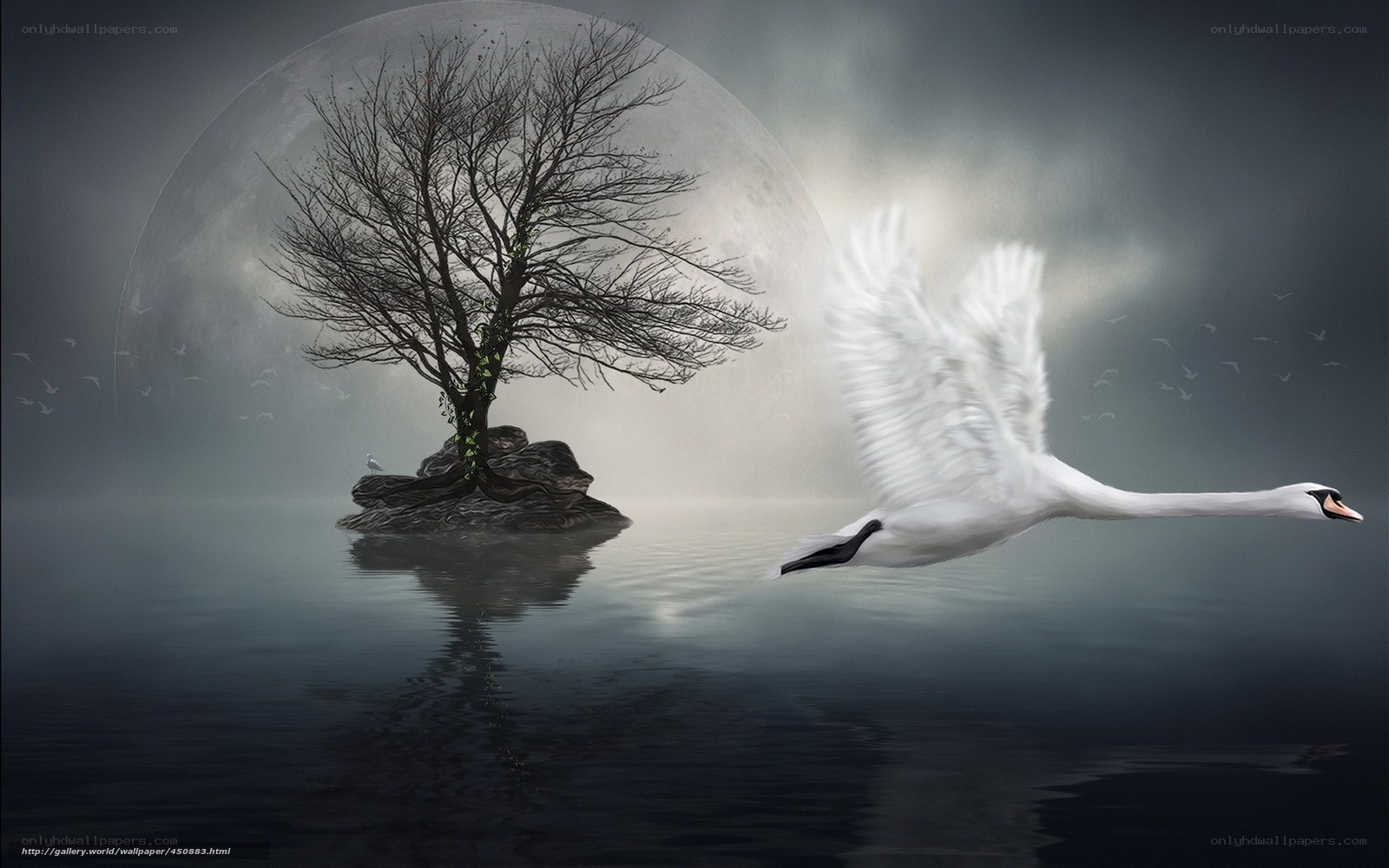 Swan flying over moonlit lake