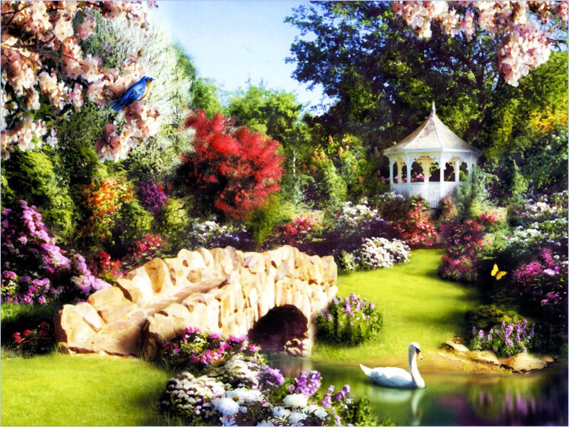 Swan in Garden Pond