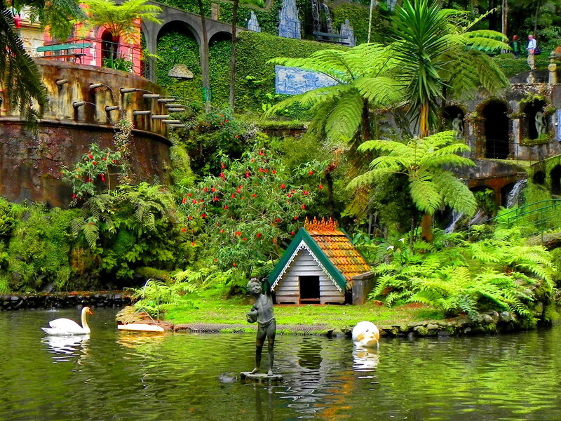 Swan in Pond — Green, Serene, Afternoon