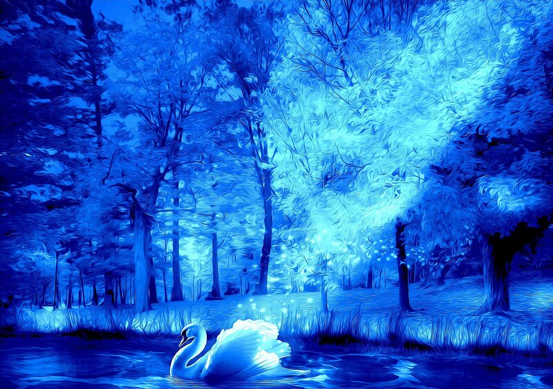 Swan on a Lake — Blue, Serene, Night, Digital Art