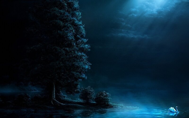 Swan on a Lake — Blue, Serene, Night