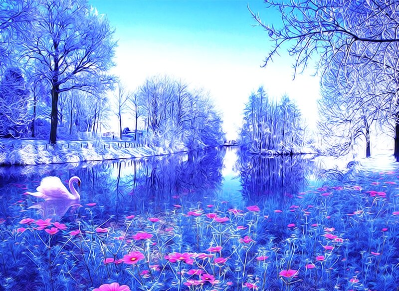 Swan on a Lake — Blue, Serene, Winter