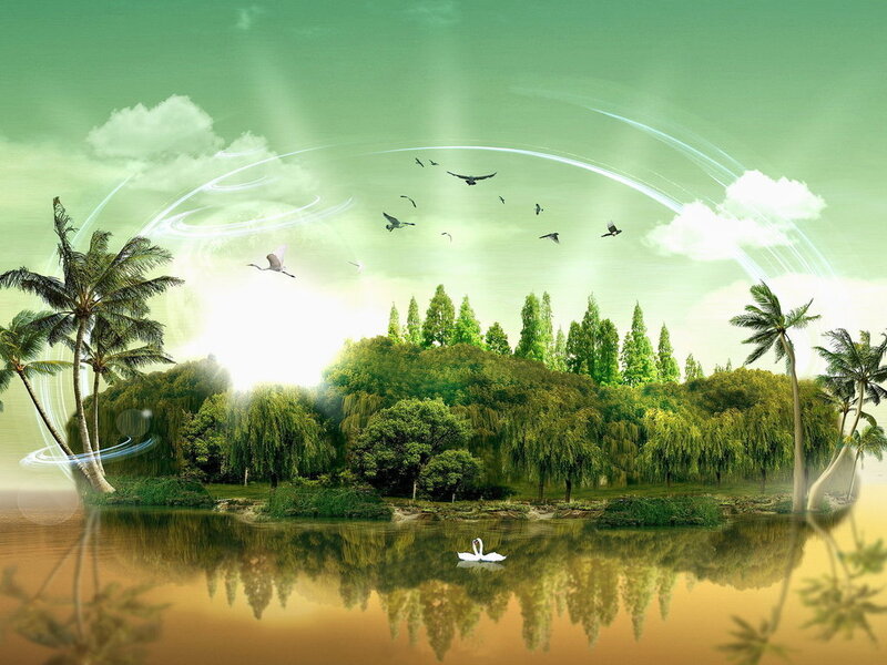 Swan on a Lake — Green, Serene, Morning, Digital Art