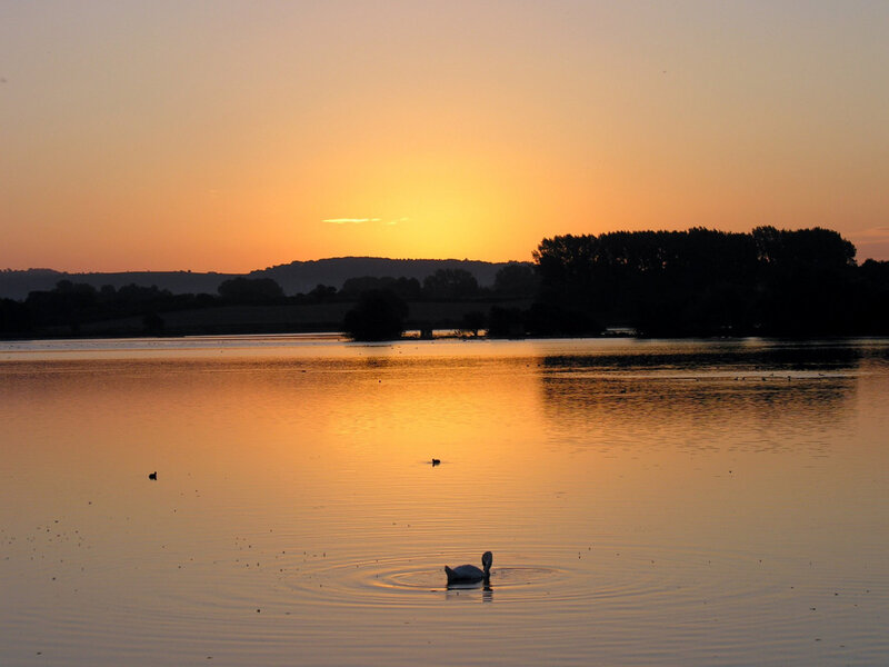 Swan on a Lake — Orange, Serene, Sunset