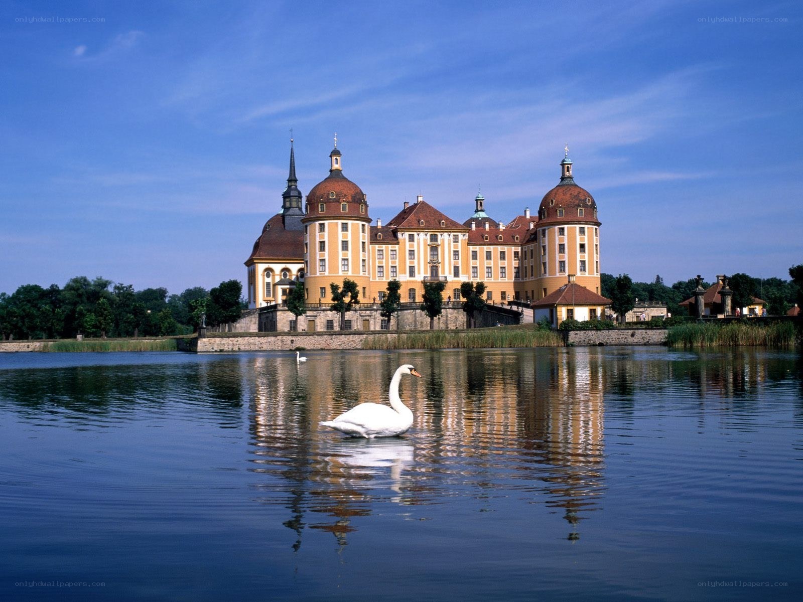 Swan on a lake with castle