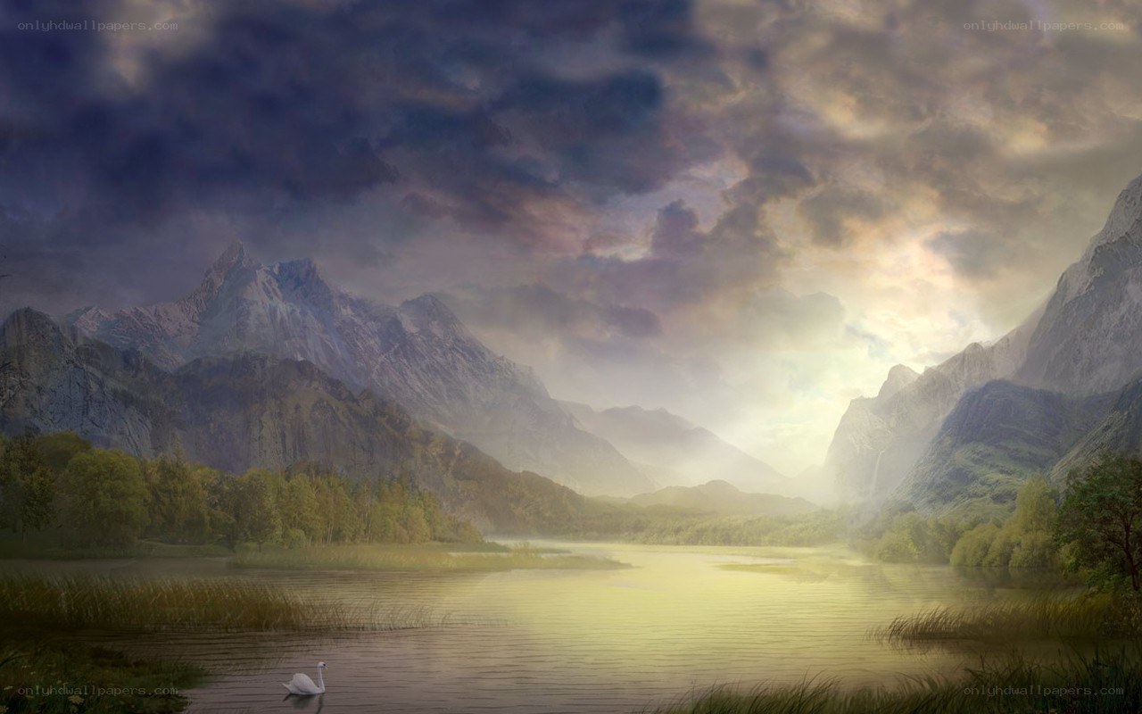 Swan on a mountain lake