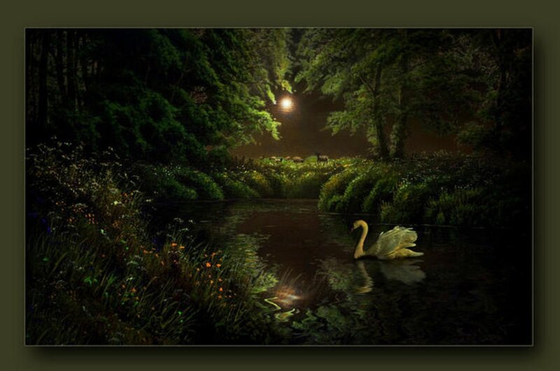 Swan on a Pond — Green