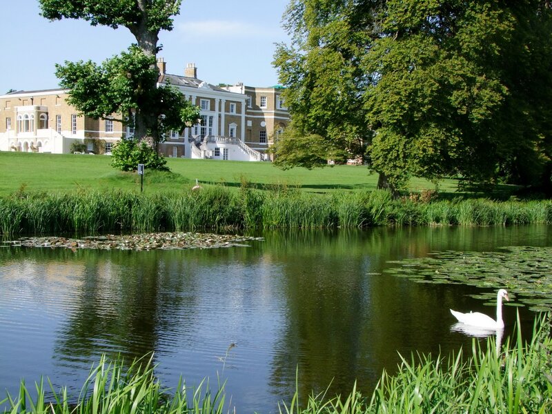 Swan on a pond near a stately home